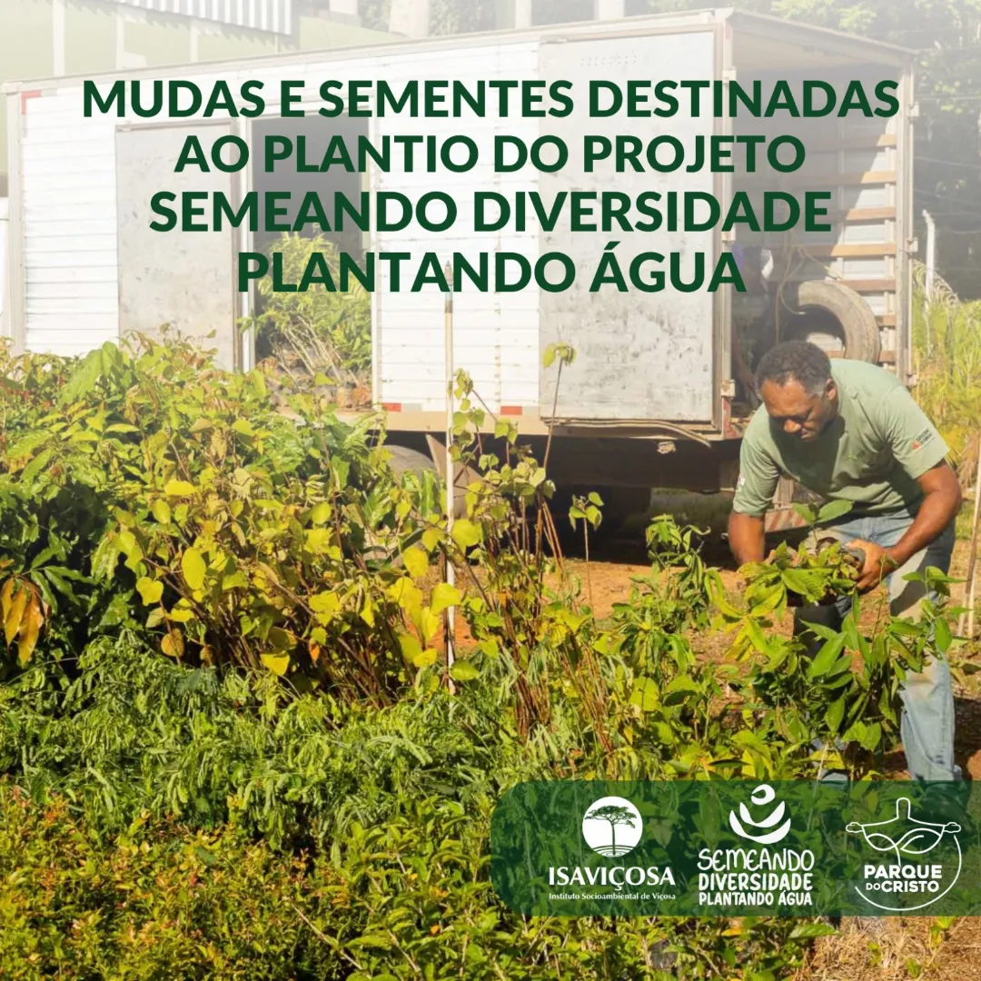Mudas e sementes para o plantio do projeto Semeando Diversidade Plantando Agua/ISAVICOSA