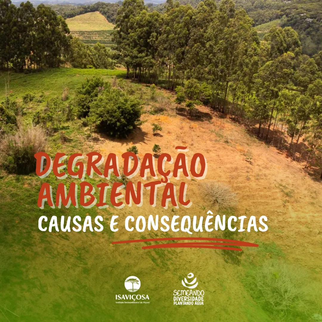 Degradacao Ambiental na microbacia do corrego Palmital/ISAVICOSA