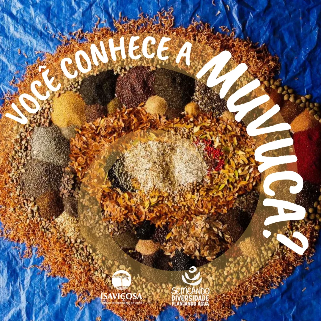 Voce conhece a MUVUCA? Semeadura direta com muvuca de sementes/ISAVICOSA