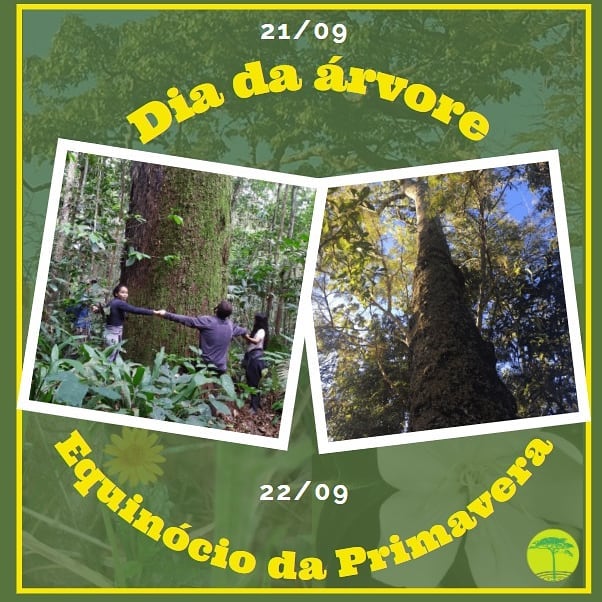 Paulo Freire, Arvores e Primavera/ISAVICOSA