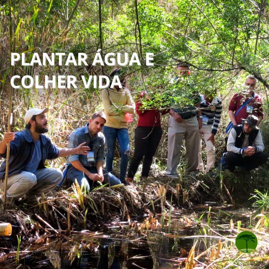 Dia Mundial de Combate a Desertificacao e a Seca - Plantar agua e colher vida/ISAVICOSA