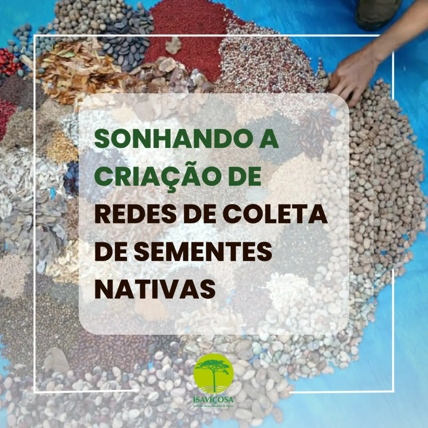 Curso Dragon Dreaming - Sonhando a criacao de Redes de Sementes Nativas/ISAVICOSA