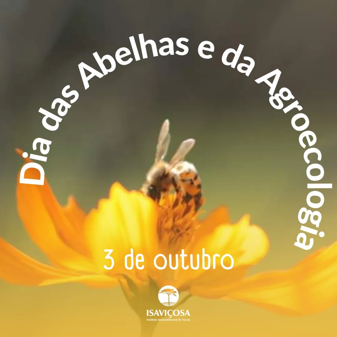 Dia da Abelha e da Agroecologia - ISAVICOSA