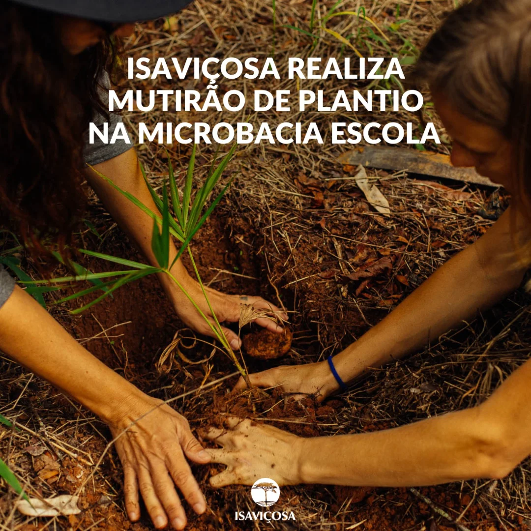 Finalizacao das atividades 2024 do projeto Semeando Diversidade Plantando Agua/ISAVICOSA