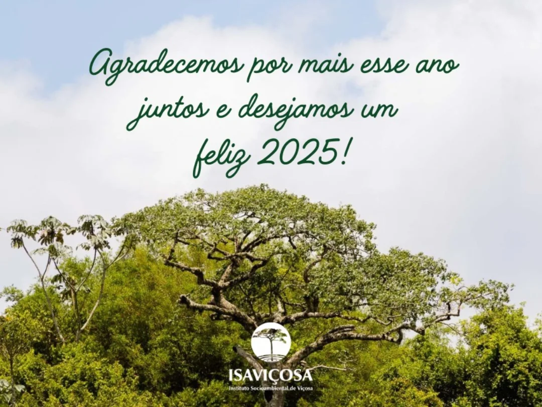 Boas festas e feliz ano novo - ISAVICOSA