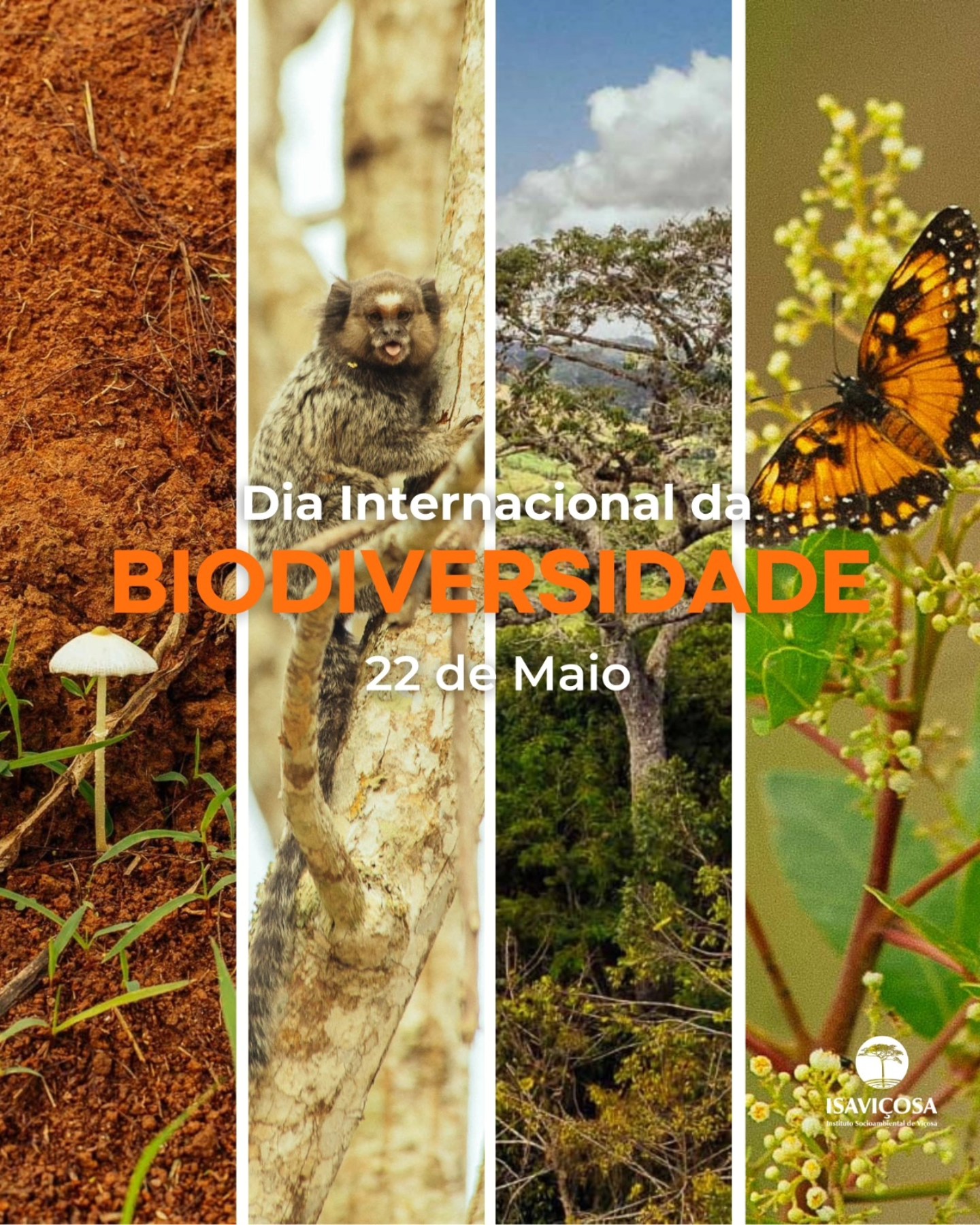 Dia Internacional da Biodiversidade - ISAVICOSA