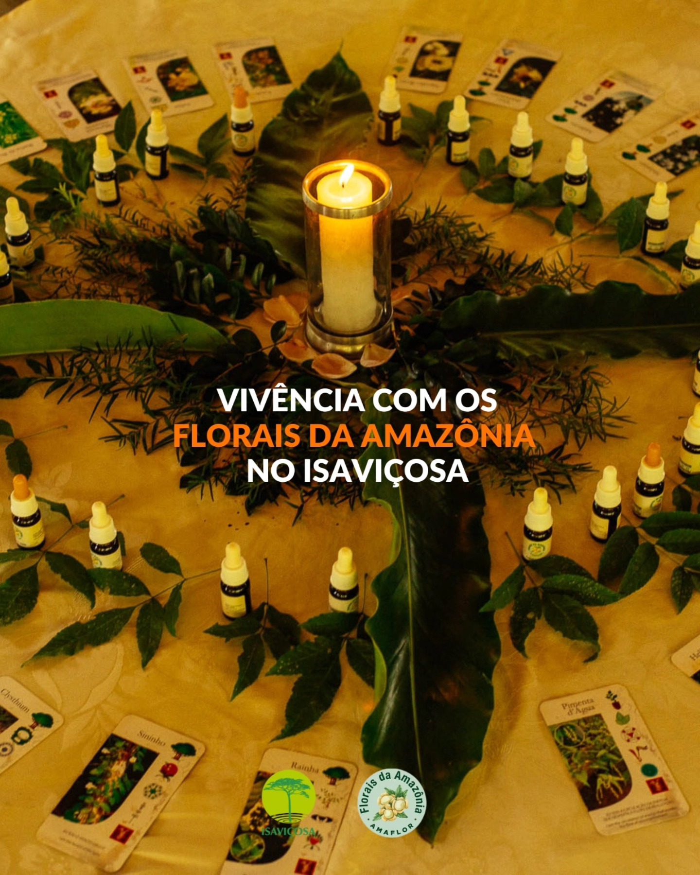 Vivencia Florais da Amazonia - Conexao com o Fogo Sagrado/ISAVICOSA