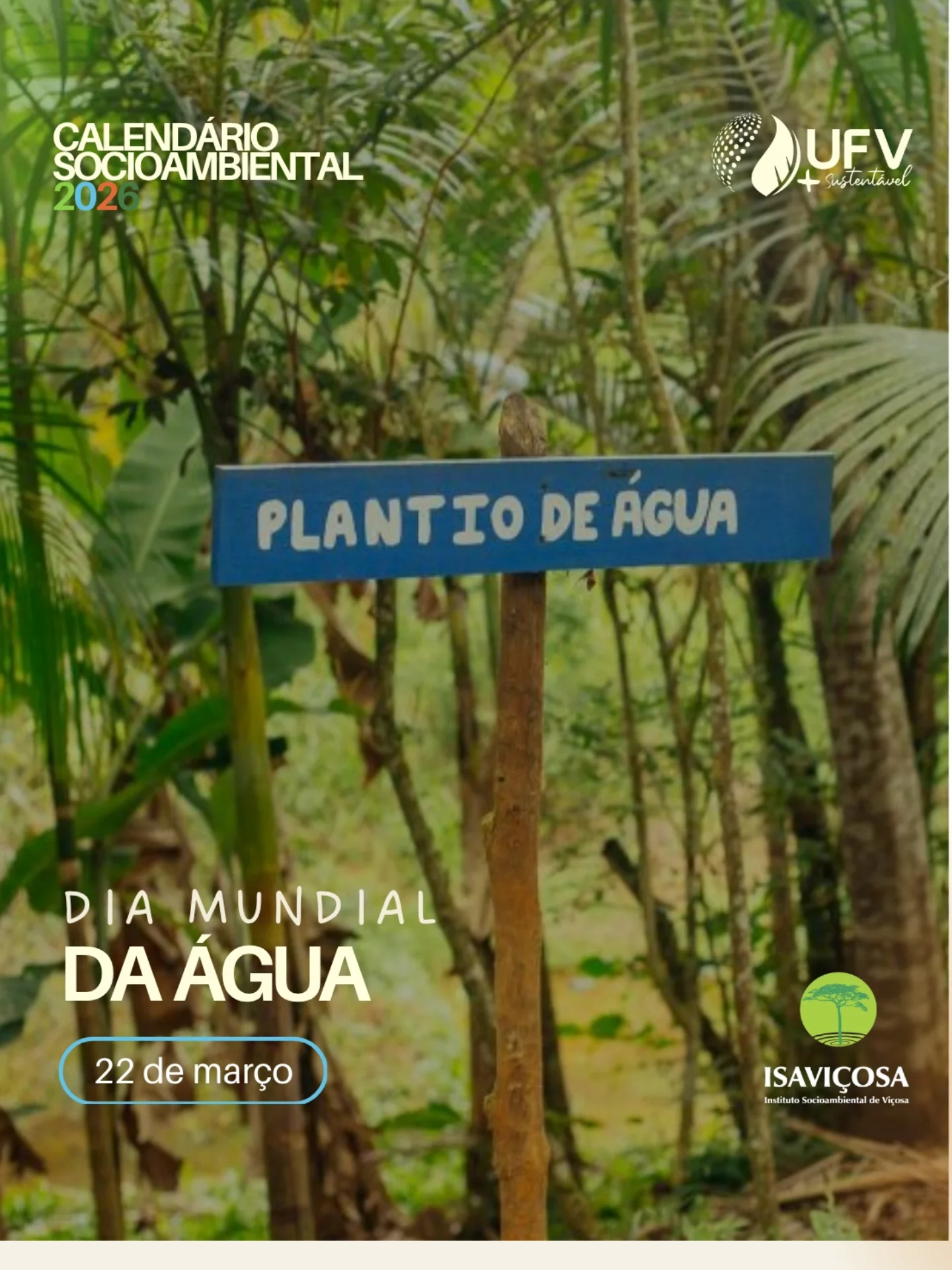 Dia Mundial da Água: a preservação começa em cada um de nós