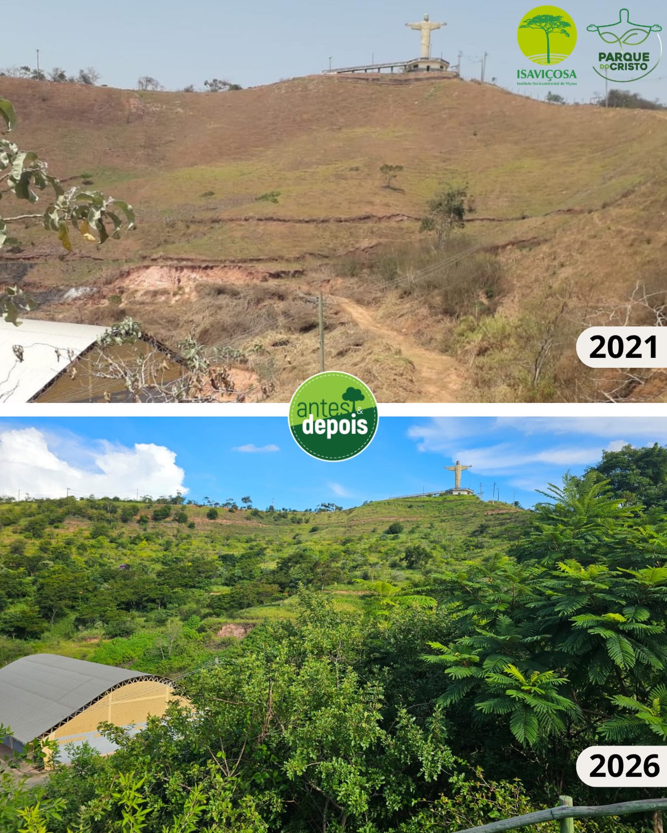 A restauração da Mata Atlântica